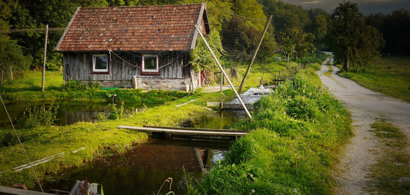 Les astuces pour optimiser son jardin