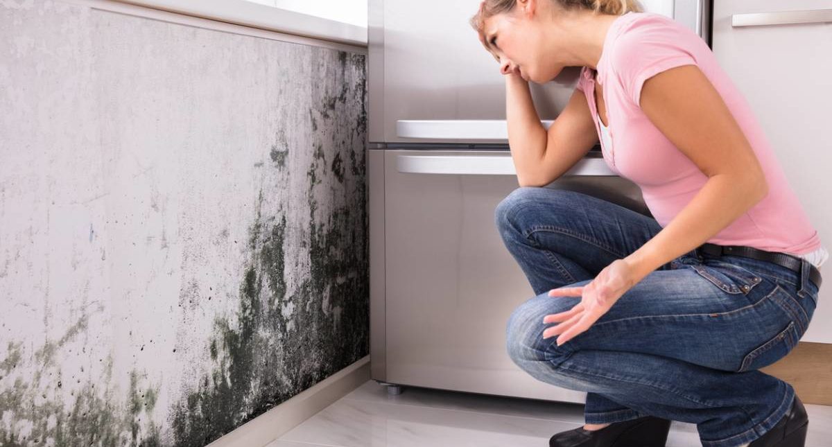 Moisissure sur les murs : que faire ?